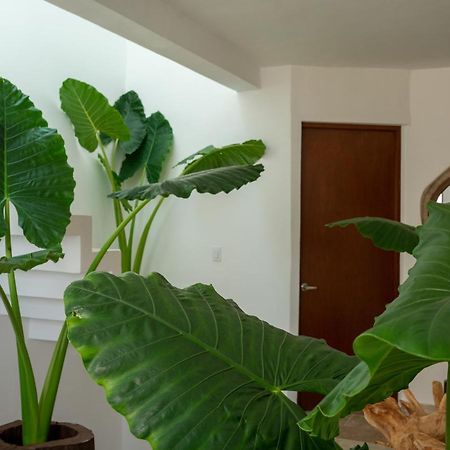 Апартаменты Recamara 5 Tulum Канкун Экстерьер фото